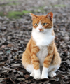 ../_images/a74aa578be8f23c8fdda6bec0f15d07758a738ec4328e5a5a659580b475ddd2f.png